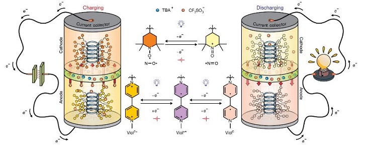 Schematic of a polypeptide-based organic radical battery and the reactions that occur during charging and discharging are shown on the left and right, respectively. Source: Karen Wooley et al./Texas A&M University