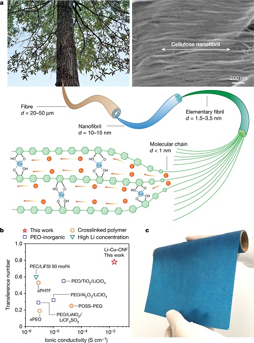 The conductor combines copper with cellulose nanofibrils, which are polymer tubes derived from wood. Source: Liangbing Hu et al.