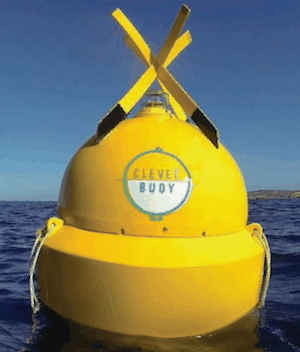 Buoys are deployed beyond the surf zone, and each has a sonar detection range of approximately 60 meters in deep water. Image credit: Shark Mitigation Systems.