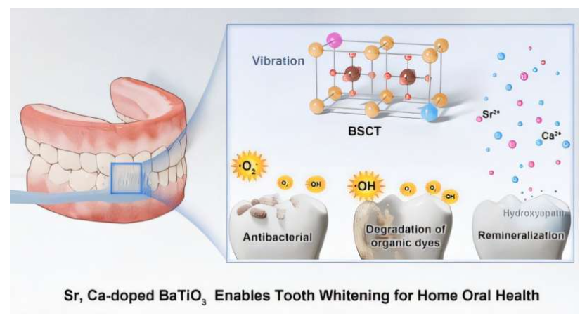 Source: ACS Nano (2026). DOI: 10.1021/acsnano.5c16997