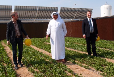 Cucumbers grown in the desert using seawater and solar power were harvested at the Sahara Forest Project pilot facility in Qatar. From left: Bard Vegar Solhjell, Norwegian Environment Minister; Khalifa A. Al-Sowaidi, CEO of QAFCO; and Joakim Hauge, CEO of Sahara Forest Project. Source: Sahara Forest Project