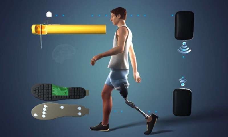 Researchers Develop A Device That Helps Amputees Feel Artificial Limbs Globalspec