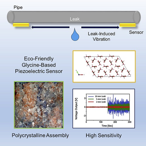 Glycine-based sensors detect the presence and location of leaks. Source: Favour Okosun et al.