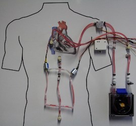Hardware-in-the-loop method using the example of a heart assist pump.  Image credit: Fraunhofer IPA