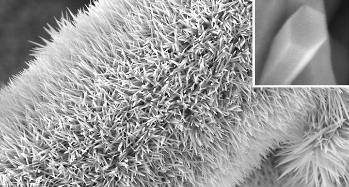 A carbon fiber covered with a spiky forest of NiCoHC nanowires. (Source: KAUST)