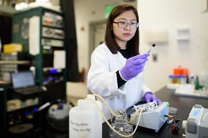 Stanford University researcher Chong Liu examines a carbon-amidoxime electrode used to improve extraction of uranium from seawater. Credit: L.A. Cicero