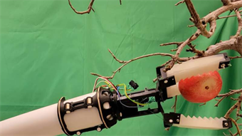 Team develops new robotic gripper for automated apple picking
