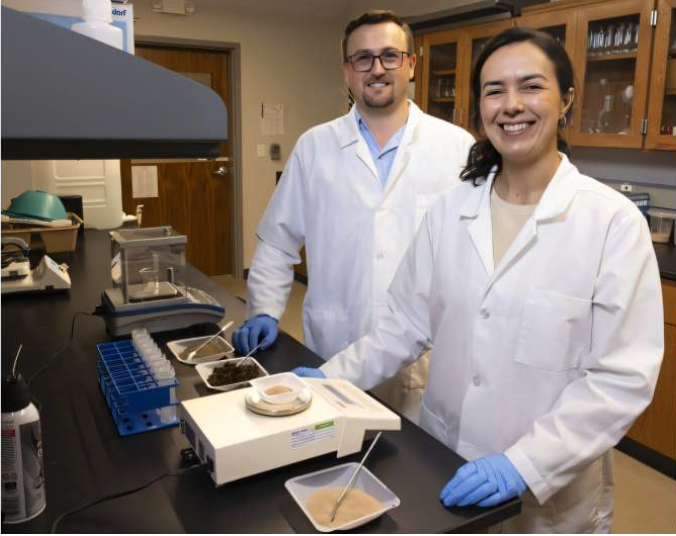 A team of University of Arkansas researchers investigated the impact of insect waste as a soil amendment in soybeans and switchgrass. Source: University of Arkansas