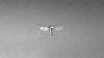 A robotic bee that flies like real bees