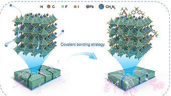 Bonding material braces perovskite solar cell performance