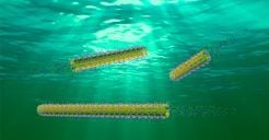 Enzyme-propelled nanorobots. &copy; MPI for Intelligent Systems
