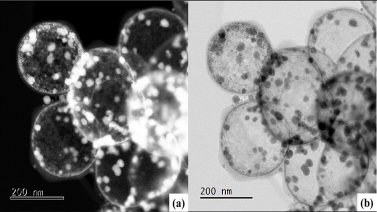 Catalyst structure at the nanoscale. Source: doi.org/10.1021/acsaem.5c02821 