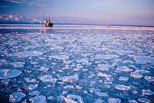 The Beaufort and Chukchi seas likely contain vast hydrocarbon reservoirs. Image credit: BSEE.