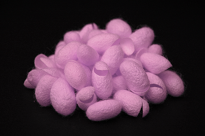 Shining a green light on red fluorescent silk activates a mechanism to kill pathogens. Source: Purdue University/Jung Woo Leem