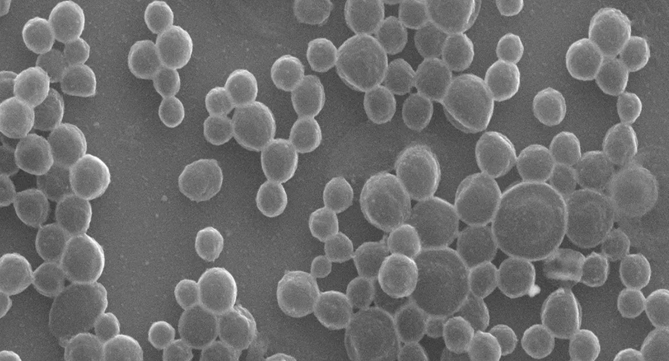 Source: Gao Lab/Caltech