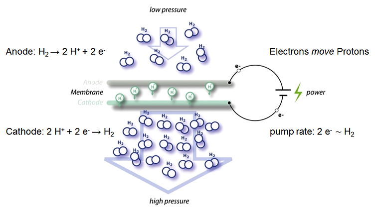 Electrochemical Compressor Supports the FCEV Market