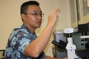 Associate Professor of Civil and Environmental Engineering Tao Yan works in his lab. Image credit: University of Hawaii at Manoa.