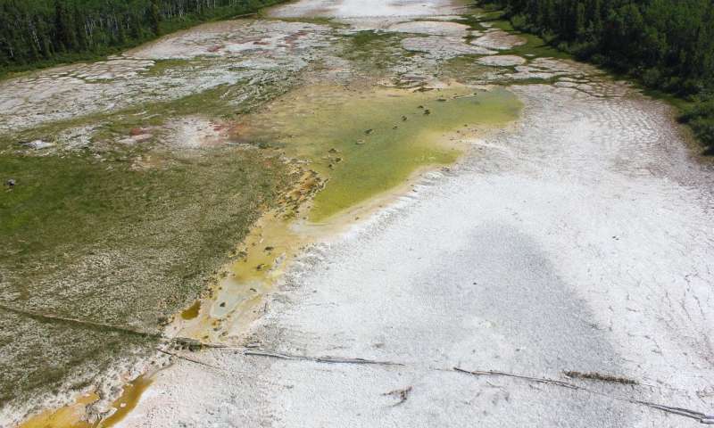 Magnesite sediments in a playa in British Columbia, Canada. Source: Ian Power