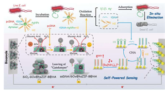 Self-powered biosensor detects and destroys bacteria in water — No electricity needed