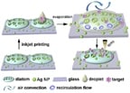 Illustration of how the optofluidic sensor operates. 