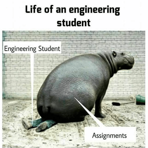 10 Memes That Sum Up Life As An Engineering Student GlobalSpec   Life Of An Engineering Student Engineering Student Assignments Fdesifundesifundesifun Desifun Com 29086569 HL 