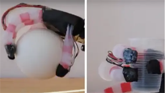 New bionic hand grips everyday objects with 99.69% accuracy