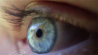 AI app promises to transform eye health diagnosis