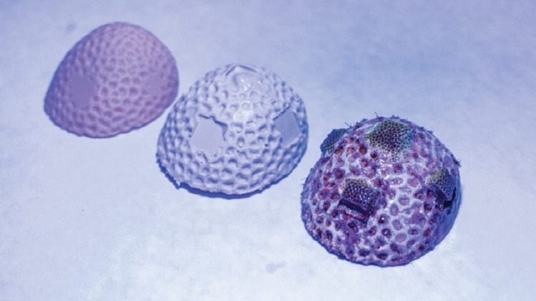3D printing expedites coral reef restoration