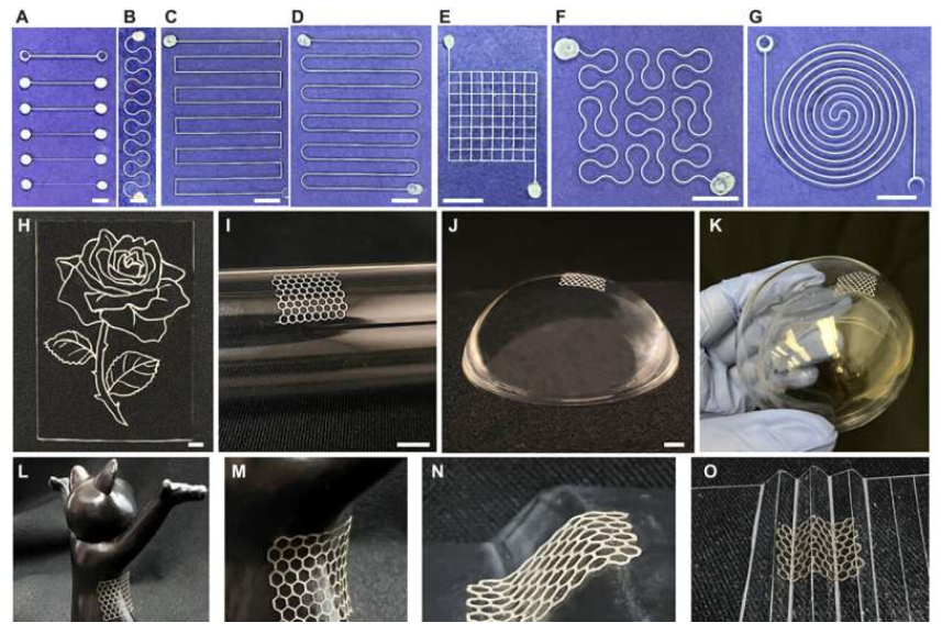 Representative printed patterns. (A) Straight lines with different linewidths, (B) horseshoe pattern, (C) serpentine curve with right angle corners, (D) serpentine curve with round corners, (E) square grid structure, (F) Peano curve, (G) spiral structure, (H) rose pattern on PDMS, (I) grid structure on a glass tube, (J) hexagon grid structure on a PDMS hemisphere, and (K) hexagon grid structure across the bottom and the side of a glass teacup. (L) Printed hexagon grid structures on a saddle-shaped surface. (M) The magnified image of the printed pattern in (L). Printed hexagon grid structures on a (N) sloped surface and (O) corrugated surface. (A to G) On glass substrate. Scale bars, 5 mm (A to O). Optical images of (P and Q) curves, (R) corner, (S) crossing area in a grid structure, and (T) spiral structure. Top and bottom show low- and high-magnification images, respectively. Source: Science Advances (2022). DOI: 10.1126/sciadv.add6996