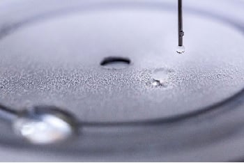 A water droplet bounces off a hydrophobic coating on a surface. Photo: Joseph Xu/Multimedia Content Producer, University of Michigan - College of Engineering