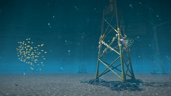 Watch how offshore wind farms can shelter coral reefs