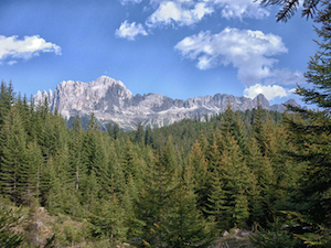  Researchers are reviewing years of satellite data on northern forests to determine whether photosynthetic cycles are happening earlier because of climate change. Image credit: Pixabay.