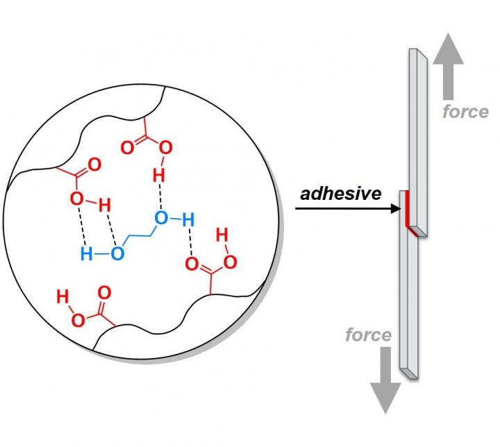 A Purdue University team added bonds that are broken easily throughout the material to strengthen the adhesive. Source: Jonathan Wilker/Purdue University