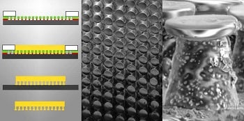 Fabrication process showing the two layers of paint in green and red, and the resulting shape of the electrode material in yellow (left); electron microscope image of the adhesive electrode surface with densely packed mushroom heads (center) and an individual head (right). Source: ETH Zurich