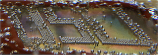 Researchers show their ability to control bubble formation by spelling "OSU" on a substrate. Image credit: OSU.