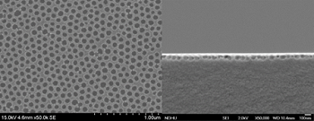 Researchers created a film of moth-eye-like nanostructures to improve the sunlight visibility of screens on mobile phones and tablets. (Image Credit: Shin-Tson Wu, College of Optics and Photonics, University of Central Florida) 