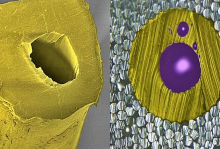 Scanning electron microscope image of a bicomponent fiber with central core. Source: Empa
