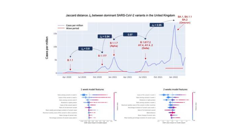 Jaccard distance Jd between dominant SARS-CoV-2 variants in the United Kingdom. Source: Levi et. al.