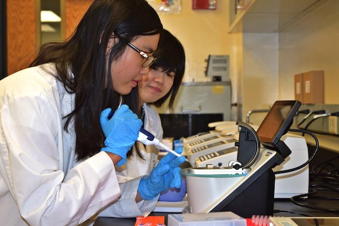 DeKosky lab members Natalie Bui (undergraduate summer student) and Tiffany Nguyen (post-doctoral researcher) measuring DNA in a sample. Source: Kelly Tong