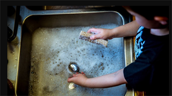 Scientists develop eco-friendly detergent from wood and corn — Tough on stains, gentle on the planet