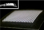 The microneedle patch is made of heparin-modified hyaluronic acid. Image courtesy of Yuqi Zhang