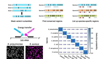 Diagnostic tech rapidly identifies pathogens with near 100% accuracy