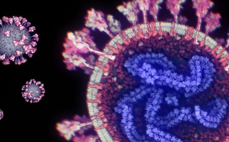 A model of the SARS-COV-2 virus. Source: KAUST