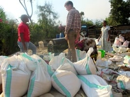 Bags of freshly threshed corn are the reward for field testing GCS’s motorized multi-crop thresher in Tanzania.