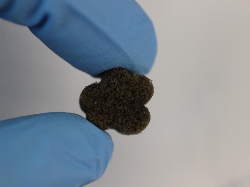 A bioactive foam could be used to replace skull bone lost to injury, surgery or birth defect. Image credit: Texas A&M University