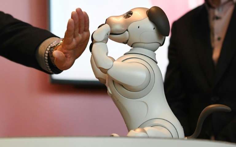 The latest Sony robot dog "Aibo" is coming to the United States later this year with artificial intelligence and internet connectivity, at a price of $2,899. Source: Sony