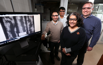 Iowa State University researchers, left to right, Metin Uz, Suprem Das, Surya Mallapragada and Jonathan Claussen are developing technologies to promote nerve regrowth. The monitor shows mesenchymal stem cells (white) aligned along graphene circuits (black). Image credit: Christopher Gannon