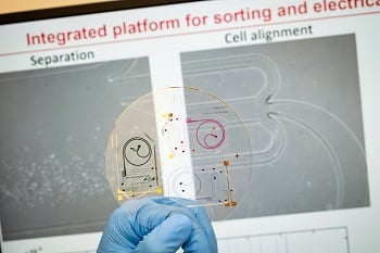 The lab-on-a-chip system identifies the health of a person&rsquo;s immune system from a drop of their blood within minutes. Source: Nanyang Technological University Singapore