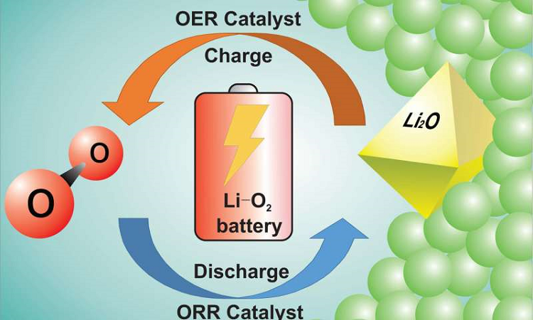 A four-electron redox process in a Li-oxygen cell is electrocatalyzed by a bifunctional lithiated nickel oxide-molten salt composite cathode at elevated temperature to form Li2O. Source: Chun Xia and Chun Yuen Kwok, University of Waterloo 