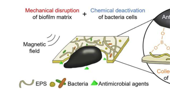 Liquid-based robot enables precise removal of implant-associated biofilm infections